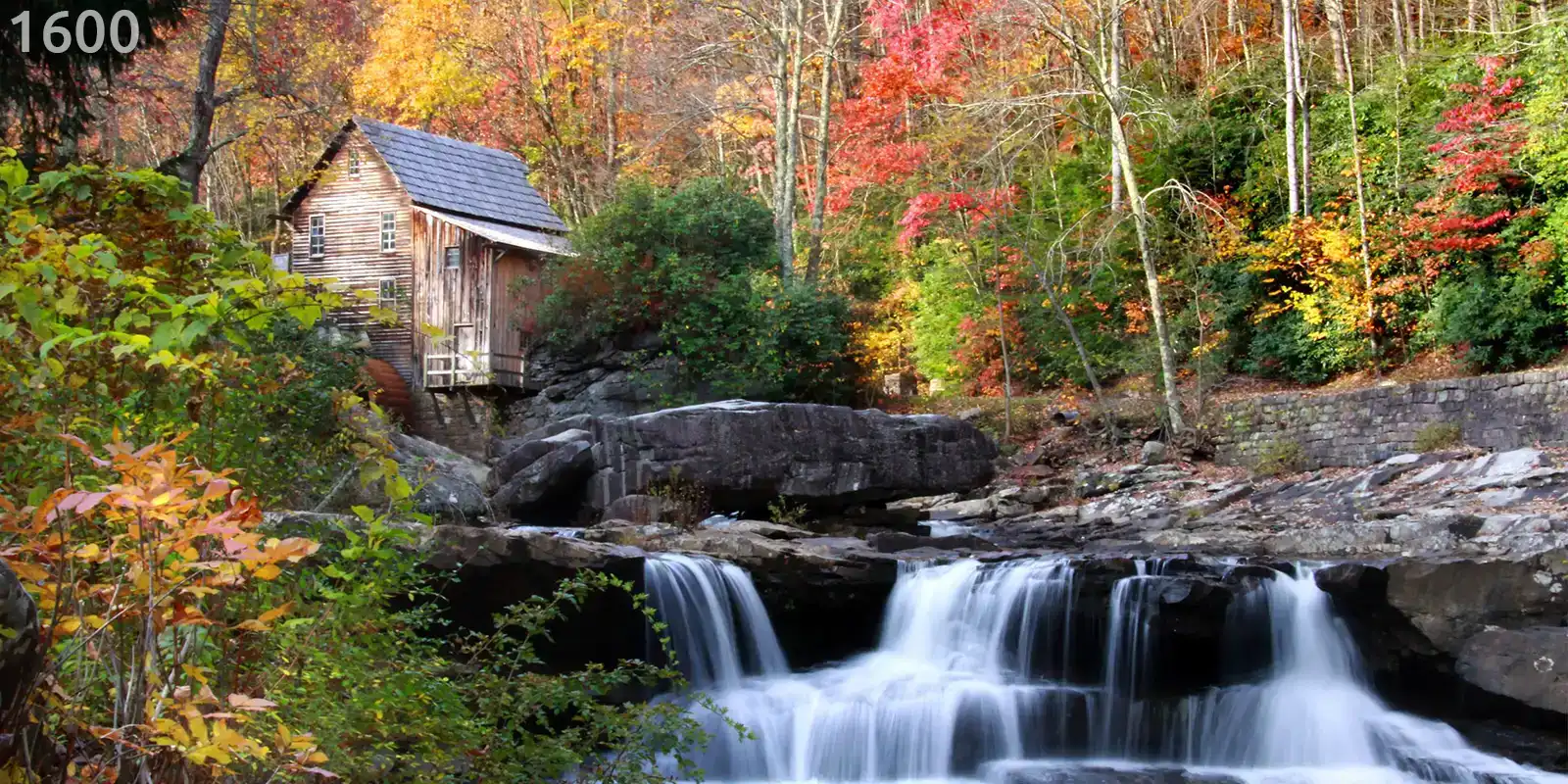 Cabin